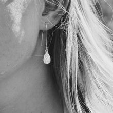 Load image into Gallery viewer, Seaweed imprinted dangle earrings from Dallas Road, Victoria - Swallow Jewellery