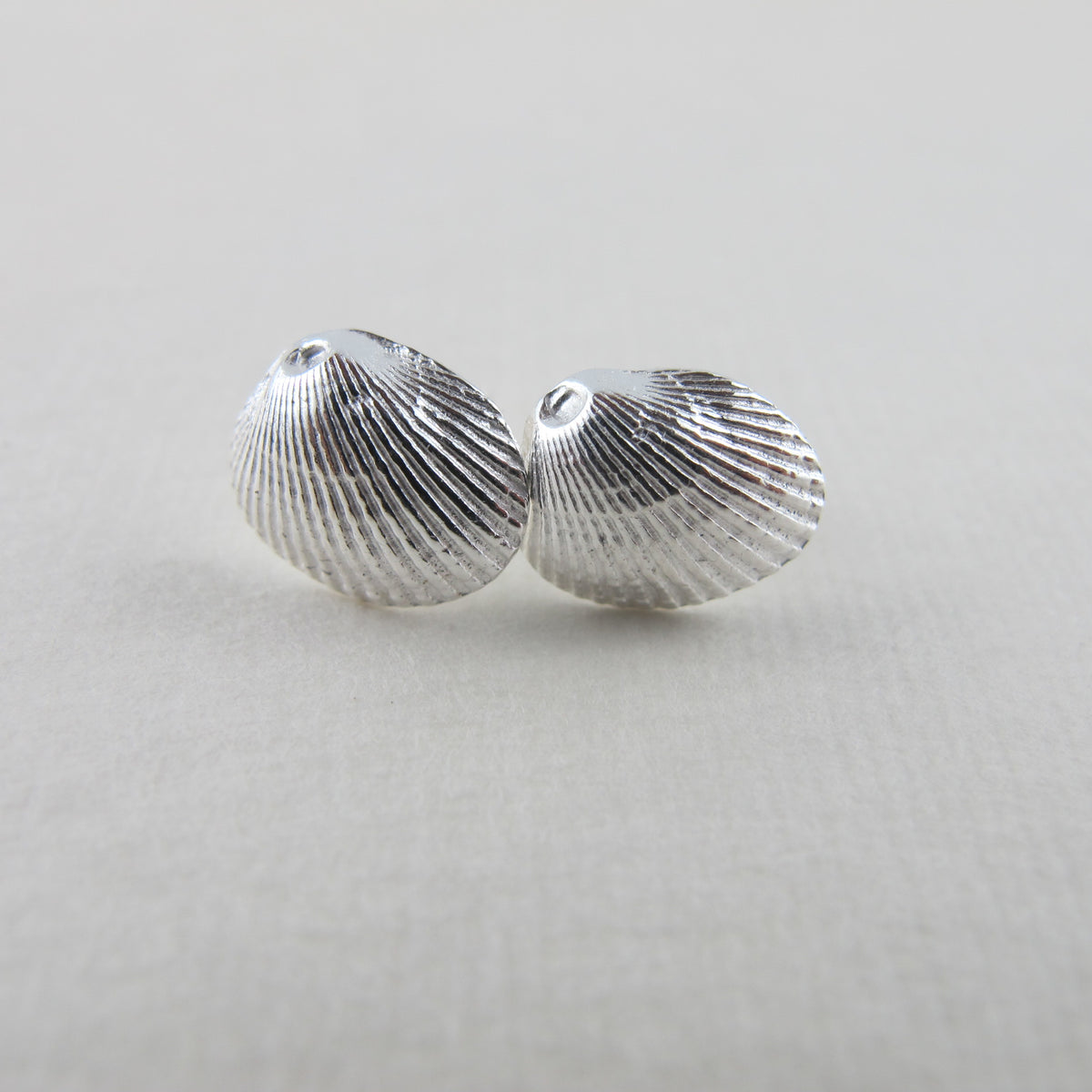 Seashell hot sale earrings studs