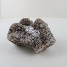 Load image into Gallery viewer, Coral imprinted earring studs from Tofino, Vancouver Island - Swallow Jewellery