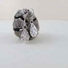 Load image into Gallery viewer, Seaweed imprinted dangle earrings from Dallas Road, Victoria - Swallow Jewellery