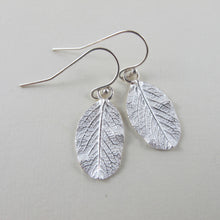 Load image into Gallery viewer, Wild rose leaf imprinted dangle earrings from Victoria - Swallow Jewellery