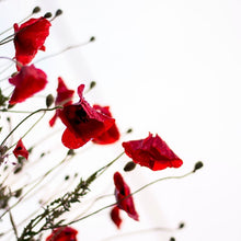 Load image into Gallery viewer, Poppy imprinted necklace from Metchosin, Vancouver Island - Swallow Jewellery