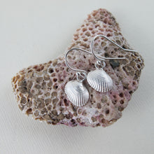 Load image into Gallery viewer, Mini seashell imprinted dangle earrings - Swallow Jewellery