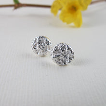 Load image into Gallery viewer, Whale bone imprinted earring studs from Victoria, BC - Swallow Jewellery