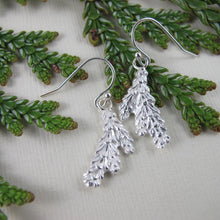 Load image into Gallery viewer, Cedar leaf imprinted earrings from Victoria, BC - Swallow Jewellery