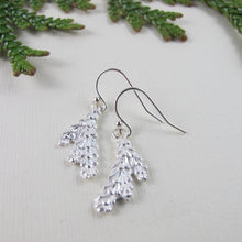Load image into Gallery viewer, Cedar leaf imprinted earrings from Victoria, BC - Swallow Jewellery