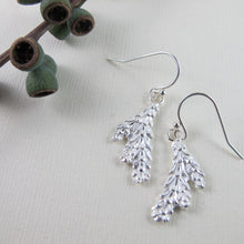 Load image into Gallery viewer, Cedar leaf imprinted earrings from Victoria, BC - Swallow Jewellery