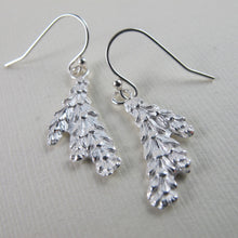 Load image into Gallery viewer, Cedar leaf imprinted earrings from Victoria, BC - Swallow Jewellery