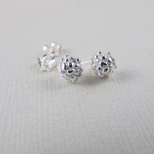 Load image into Gallery viewer, Blackberry imprinted earring studs from the Galloping Goose Trail - Swallow Jewellery