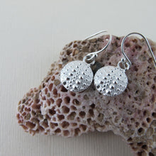 Load image into Gallery viewer, Sea urchin imprinted dangle earrings from Middle Beach, Tofino - Swallow Jewellery