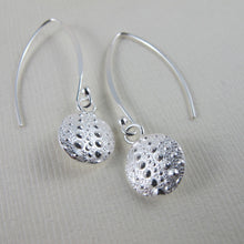 Load image into Gallery viewer, Sea urchin imprinted dangle earrings from Middle Beach, Tofino - Swallow Jewellery