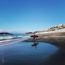 Load image into Gallery viewer, Mini seashell imprinted earring studs - Swallow Jewellery