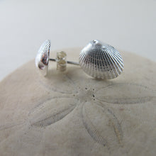 Load image into Gallery viewer, Mini seashell imprinted earring studs - Swallow Jewellery