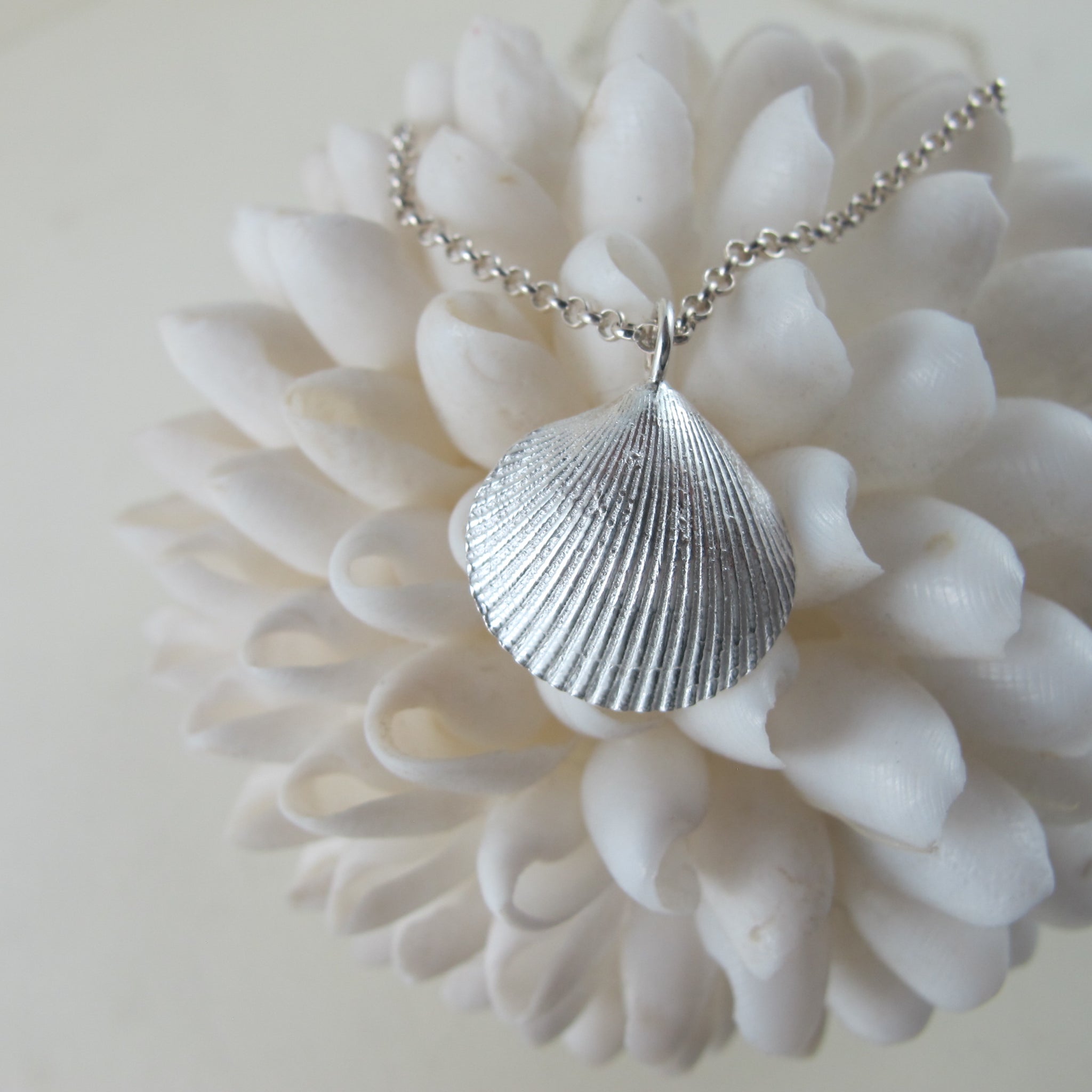 Cowrie Shell Charm Necklace – S. Carter Designs