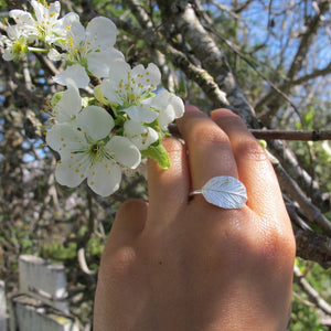 Wild rose leaf imprinted ring from Victoria, BC - Swallow Jewellery