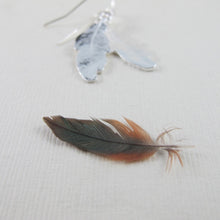 Load image into Gallery viewer, Hummingbird feather imprinted dangle earrings from Gabriola Island, BC by Swallow Jewellery