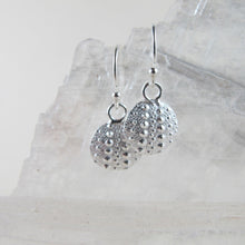 Load image into Gallery viewer, Sea urchin imprinted dangle earrings from Middle Beach, Tofino - Swallow Jewellery