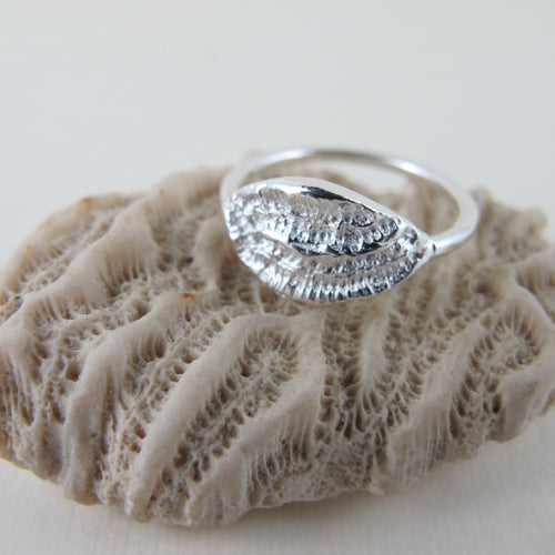 Coral imprinted ring from Port Renfrew, Vancouver Island - Swallow Jewellery