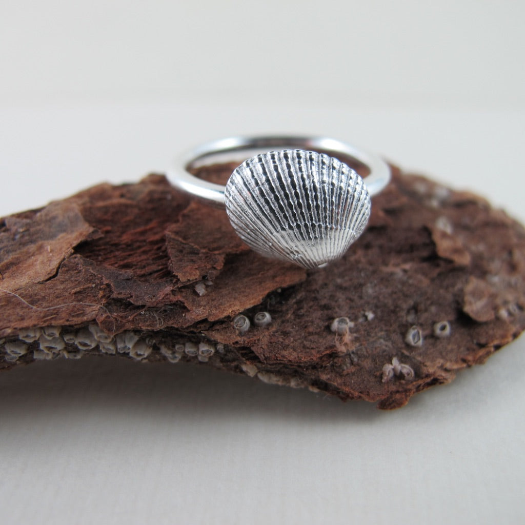 Mini seashell imprinted ring - Swallow Jewellery