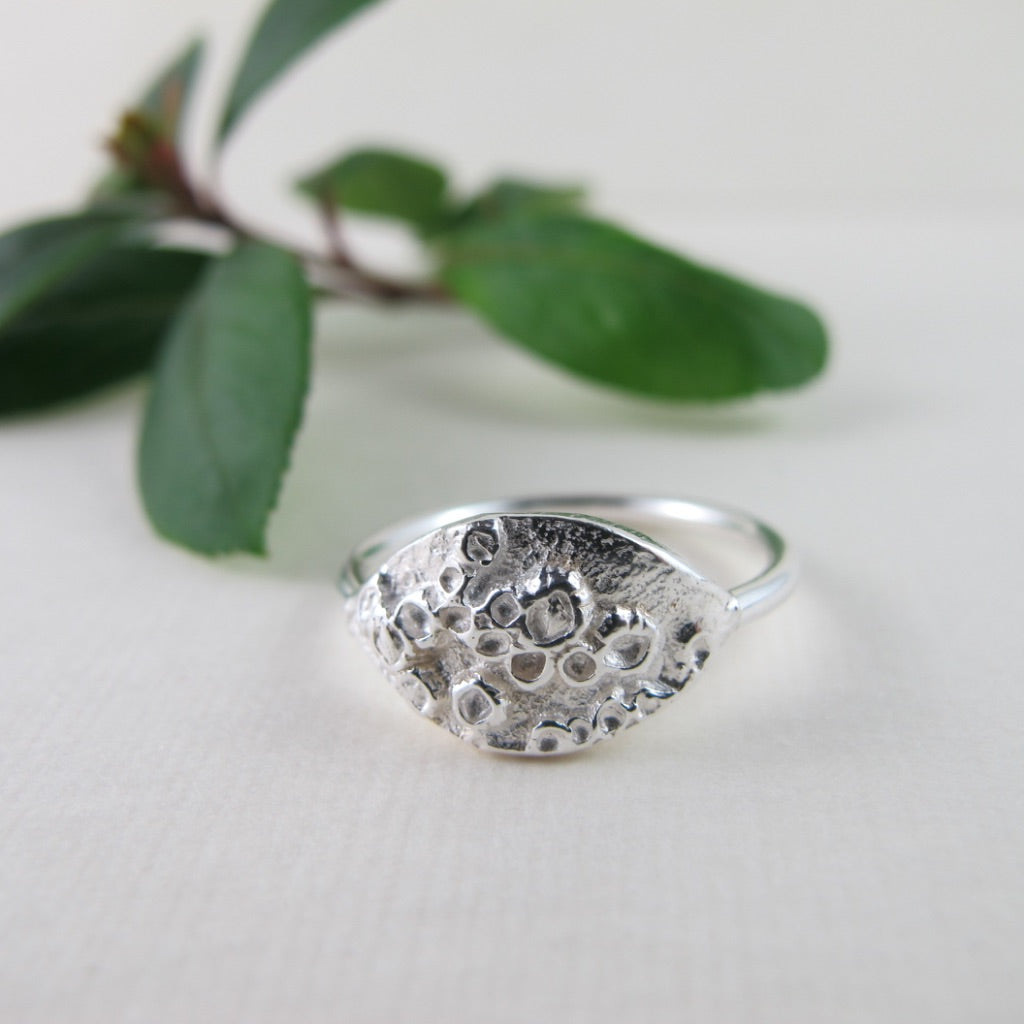 Barnacle imprinted ring from Kin Beach, Vancouver Island - Swallow Jewellery