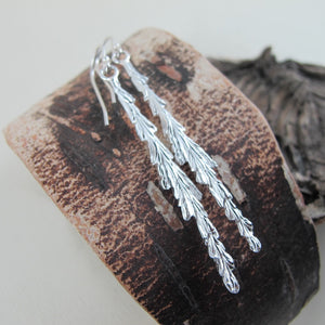 Giant Sequoia leaf imprinted dangle earrings from Beacon Hill Park, Victoria