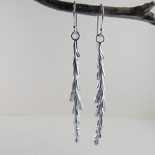 Load image into Gallery viewer, Giant Sequoia leaf imprinted dangle earrings from Beacon Hill Park, Victoria