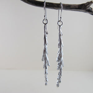 Giant Sequoia leaf imprinted dangle earrings from Beacon Hill Park, Victoria